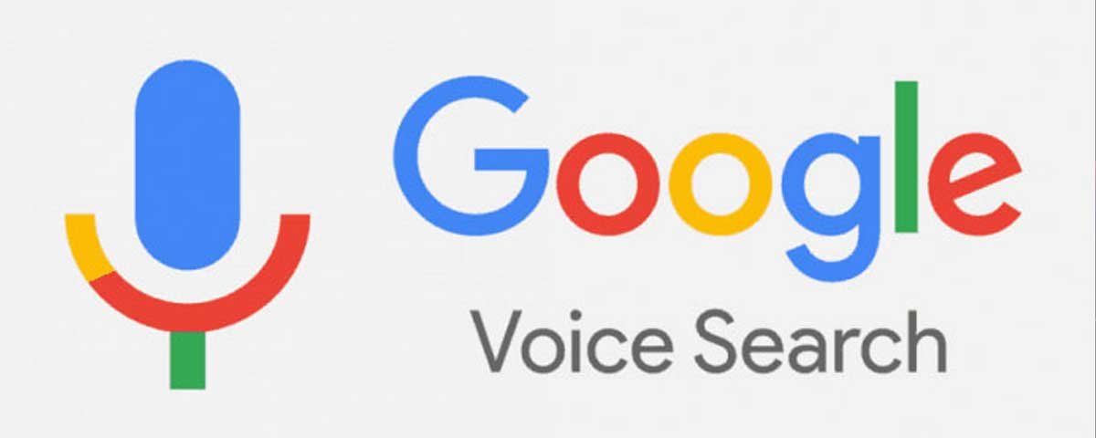 Google Voice Search