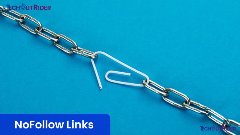 NoFollow Links