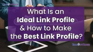 What Is an Ideal Link Profile and How to Make the Best Link Profile?